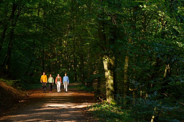 Wanderung auf dem Rötelsteinpfad Zwei Männer und zwei Frauen wandern auf dem Rötelsteinpfad