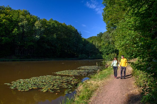 Teichanlage bei Güdesweiler Ein Mann und eine Frau wandern am Rande eines Teiches bei Güdesweiler